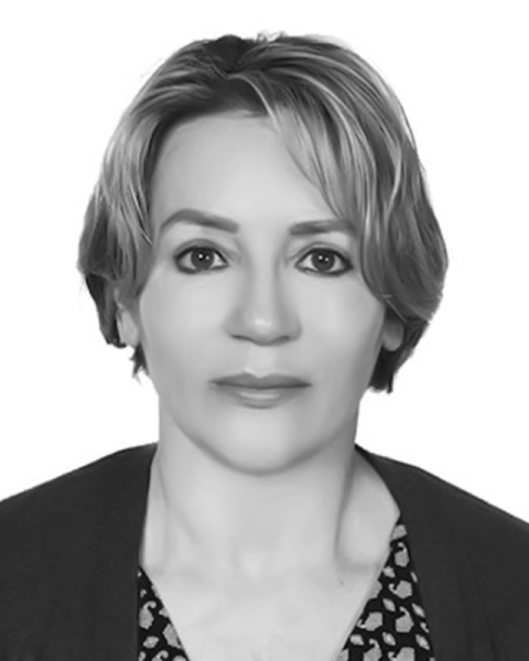 Dra. Beatriz Castillo Téllez