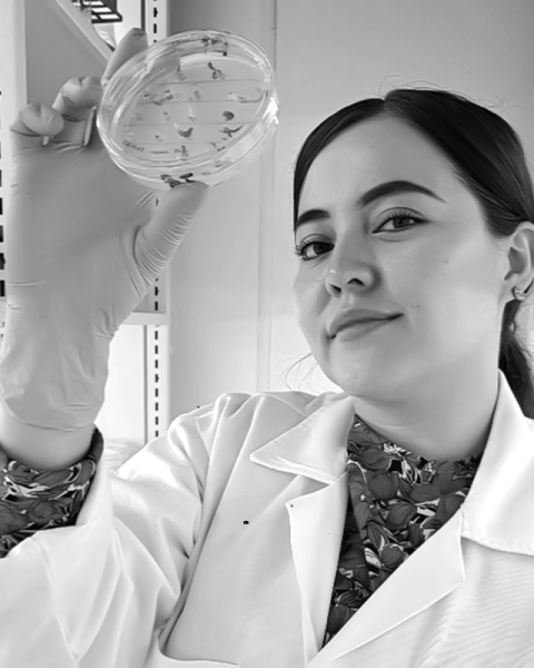 Dra. Bibiana Tirado Pérez