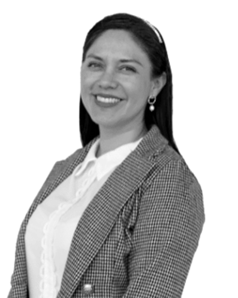 Dra. Diana Mercedes Hernández Corona