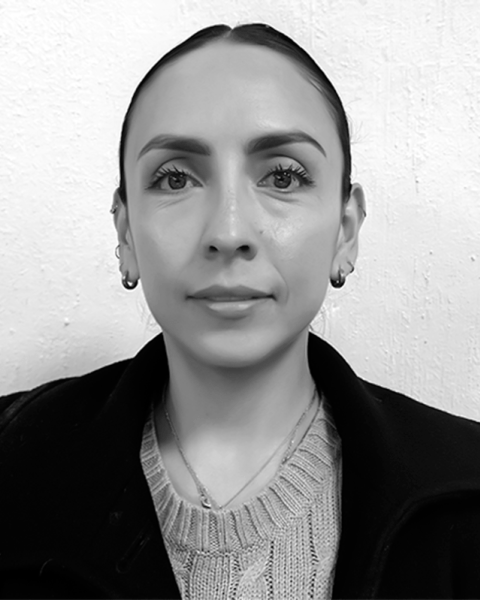 Dra. Karla Aída Zermeño Mejía