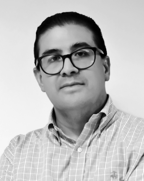 Mtro. Marco Antonio Romero Güémez