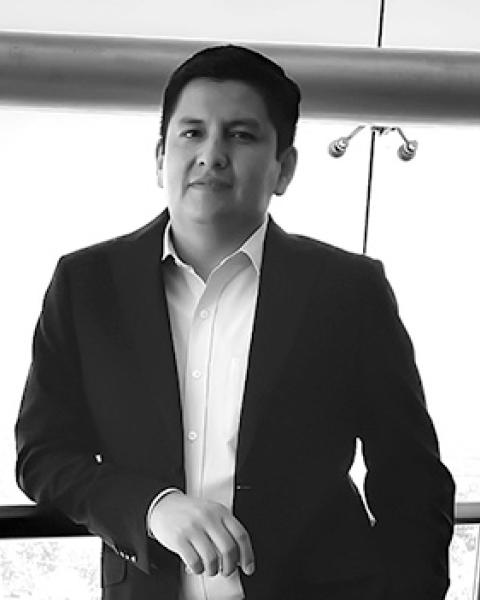 Mtro. Ramón Willman Zamora