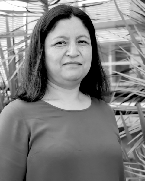 Dra. M. Guadalupe Rivera Garay 