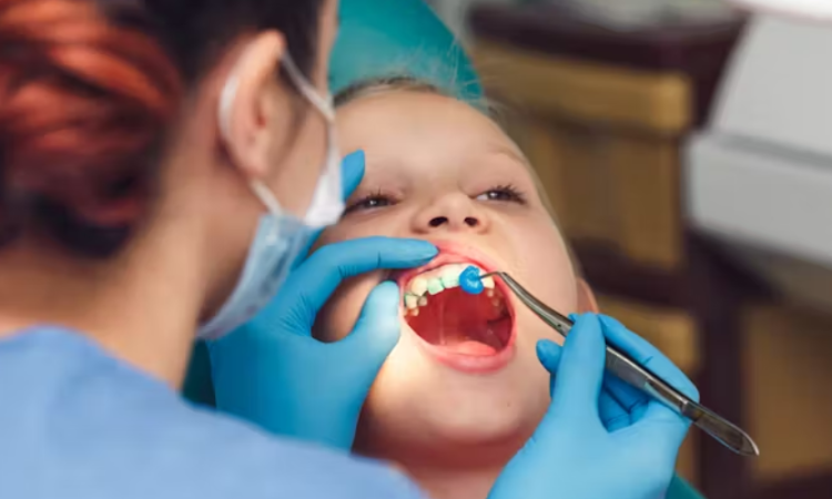 Dentista